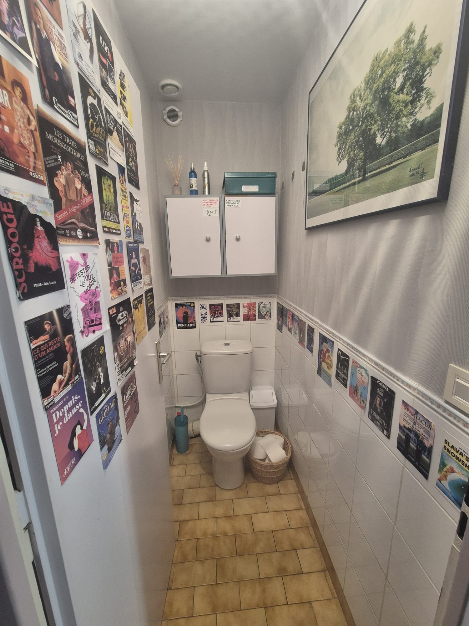 changement de wc sanitaire chambéry savoie